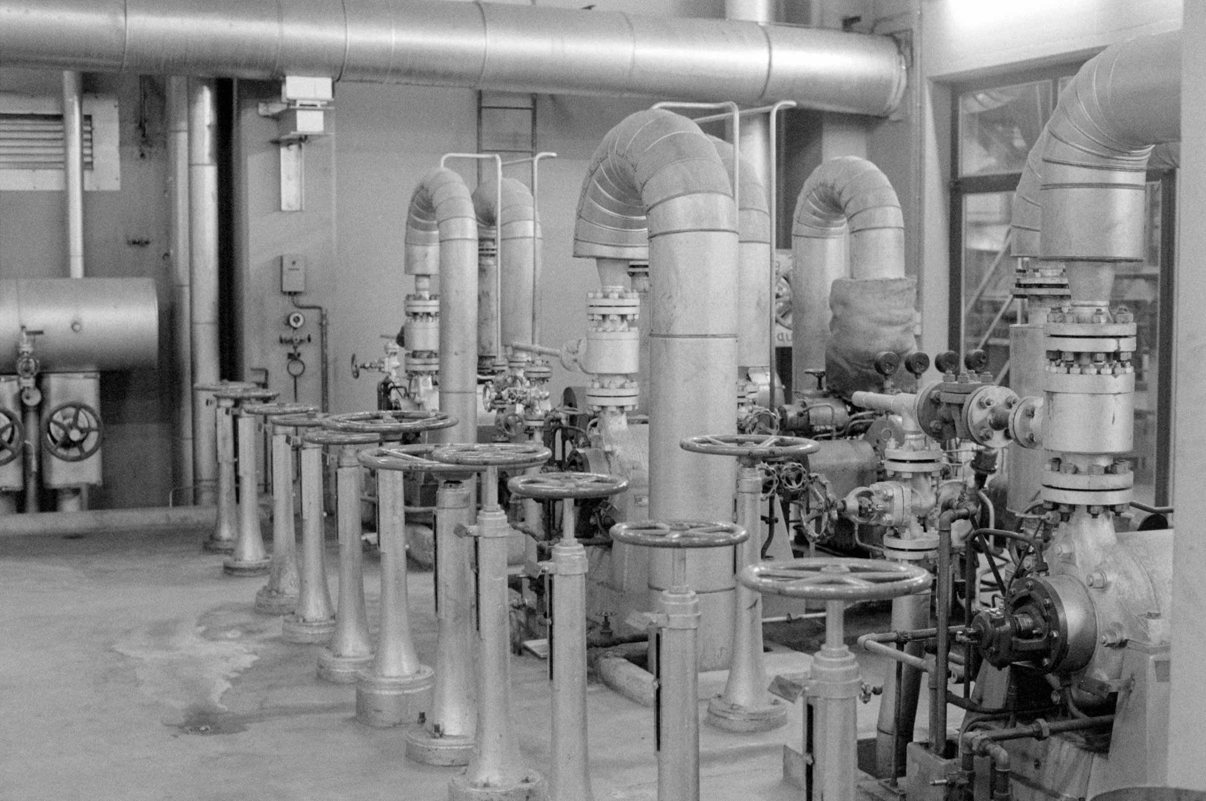 AHP F1994 11 004 sc250521 img23 NLP